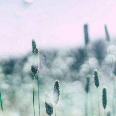 风之幻想web手游下载