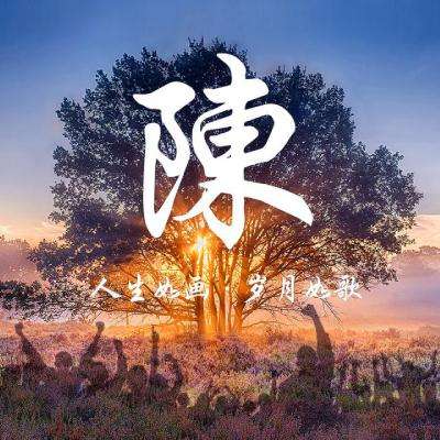 入阵曲折扣版